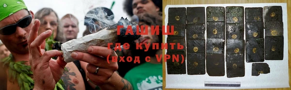 индика Нягань