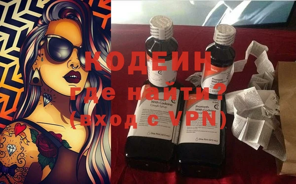 индика Нягань