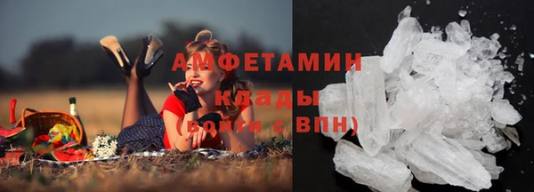 индика Нягань
