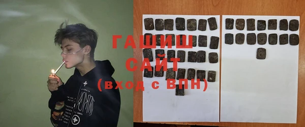 индика Нягань