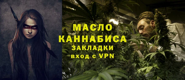 индика Нягань