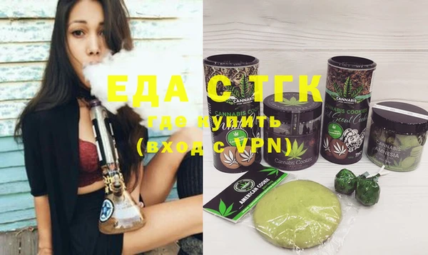 индика Нягань