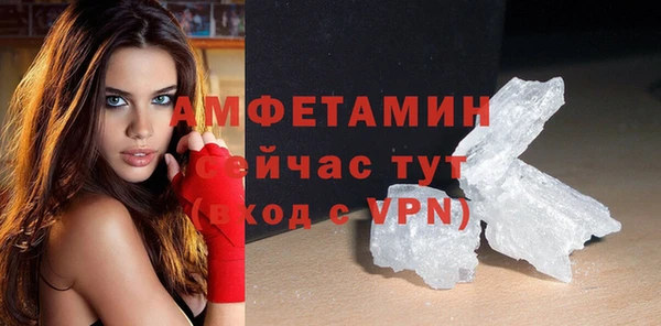 индика Нягань