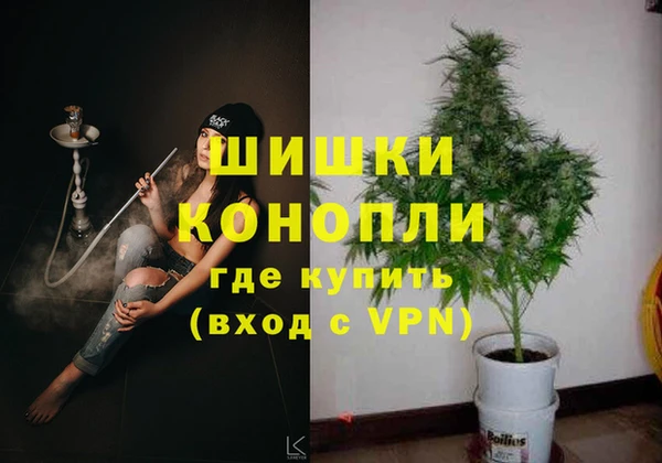 индика Нягань