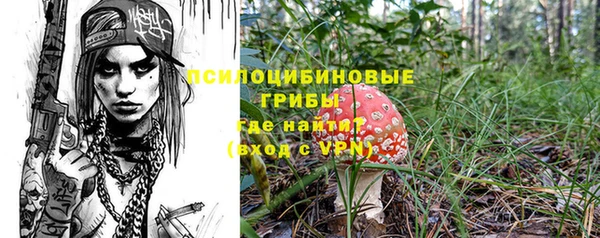 индика Нягань