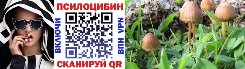 MEGA   Чита  Галлюциногенные грибы ЛСД 